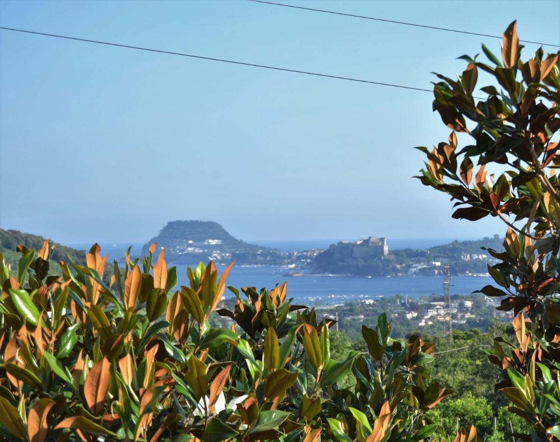 Hotel Puteoli House Pozzuoli Exterior foto